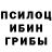 Галлюциногенные грибы прущие грибы IronRabbit_02